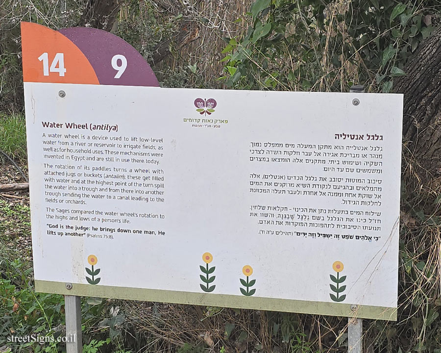 Neot Kedumim Park - Water Wheel (antilya)