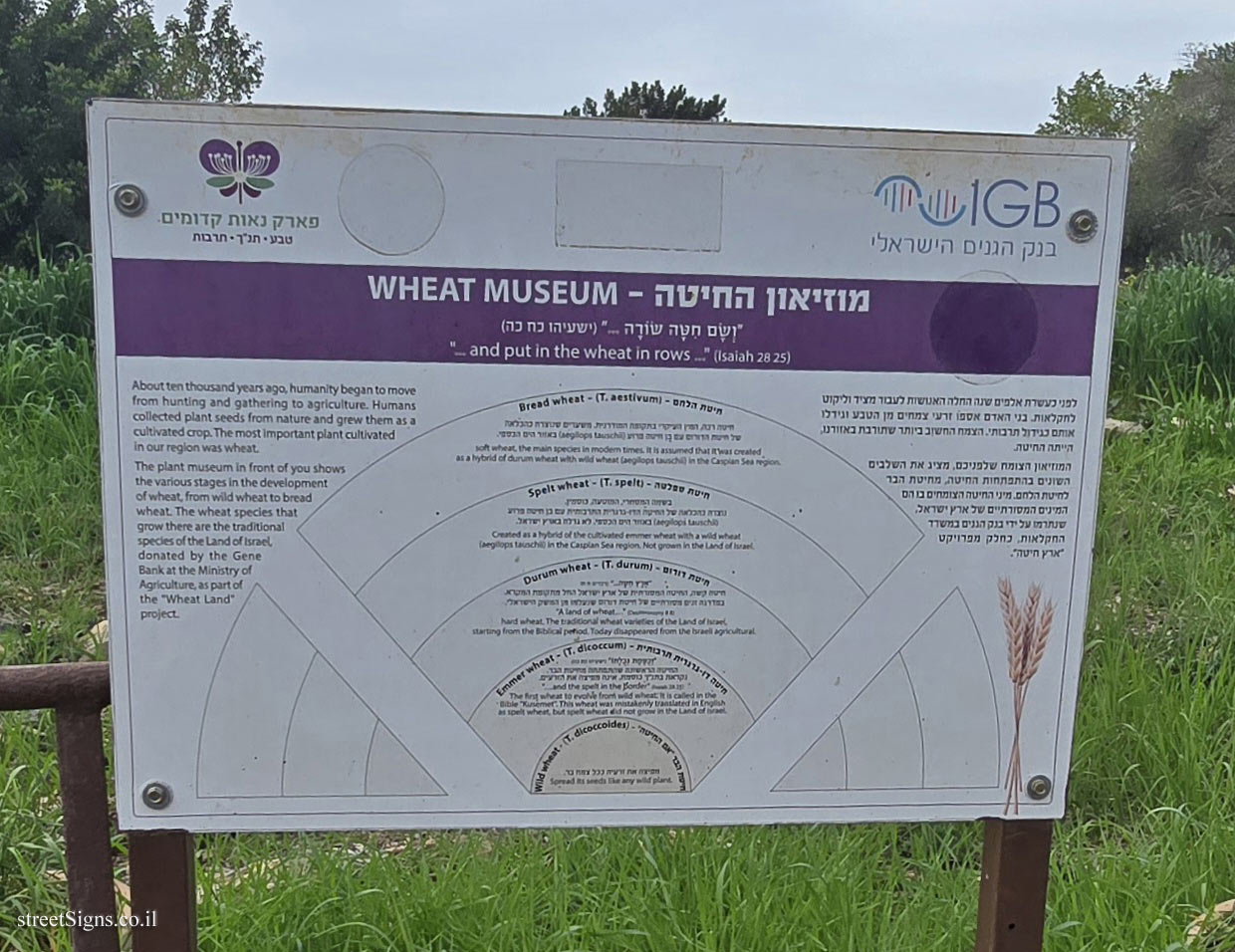 Neot Kedumim Park - Wheat Museum