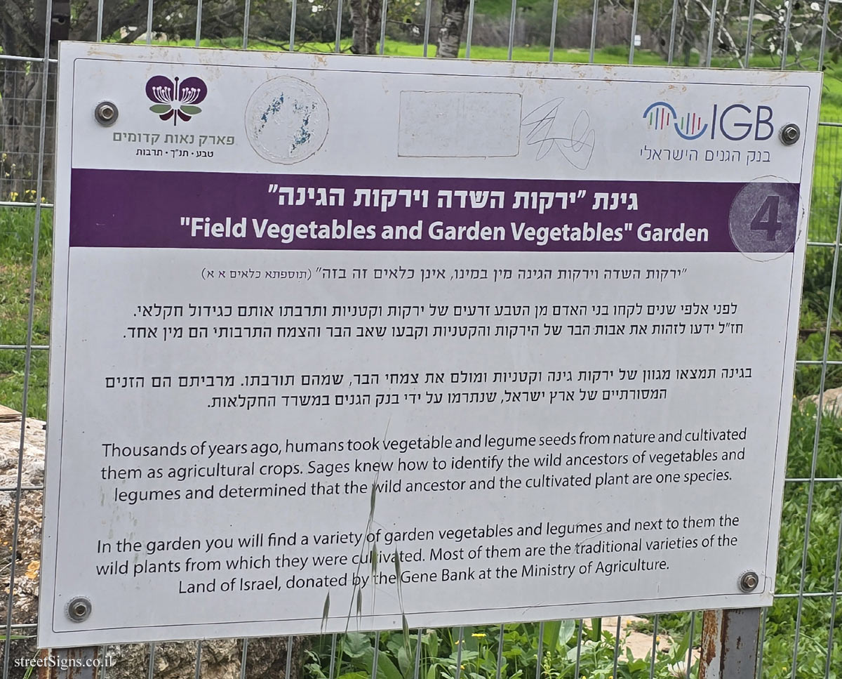 Neot Kedumim Park - "Field Vegetables and Garden Vegetables" Garden