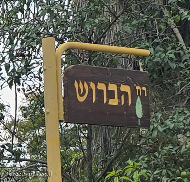 גמזו - רחוב הברוש