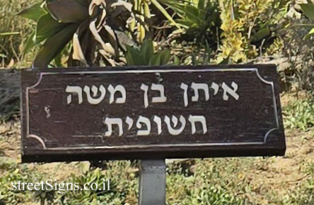ראשון לציון - מרכז מבקרים איגודן - "חשופית" פסל חוצות של איתן בן משה