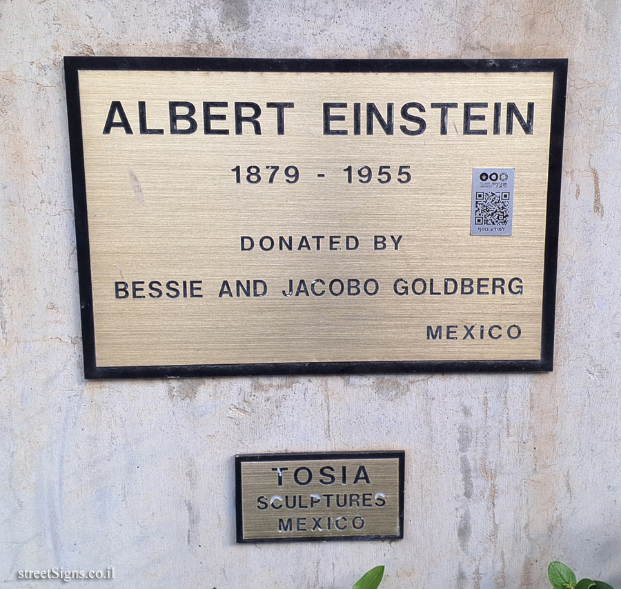 Tel Aviv University - "Albert Einstein" - outdoor sculpture by Tosia Malamud