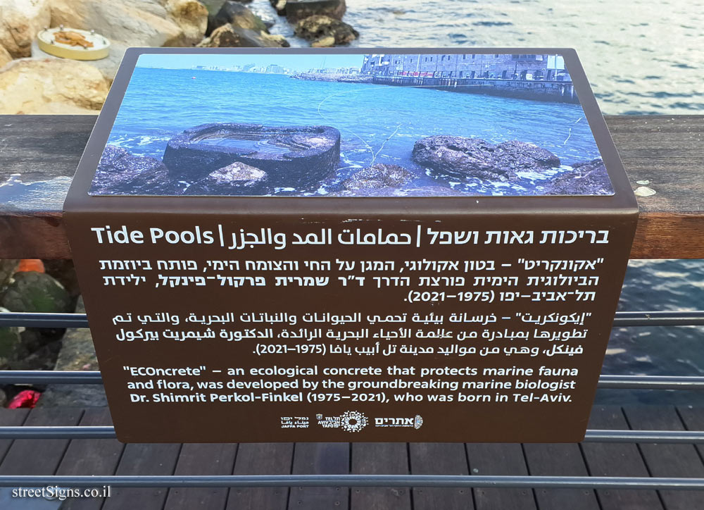 Tel Aviv - Jaffa Port - Tide Pools