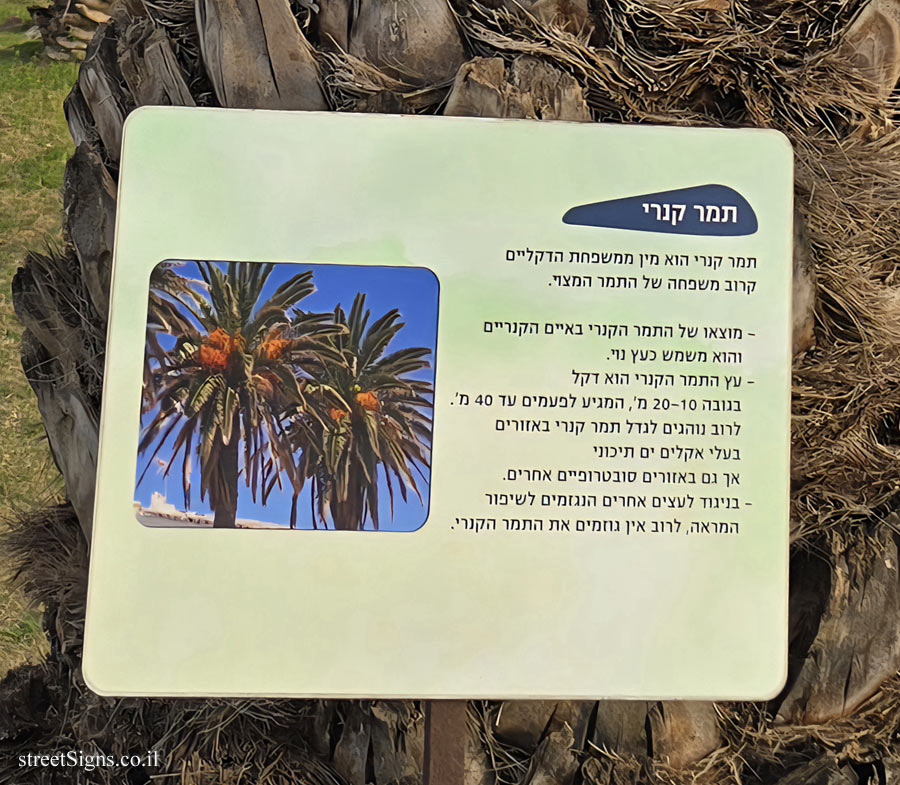באר יעקב - בית החולים אסף הרופא - תמר קנרי