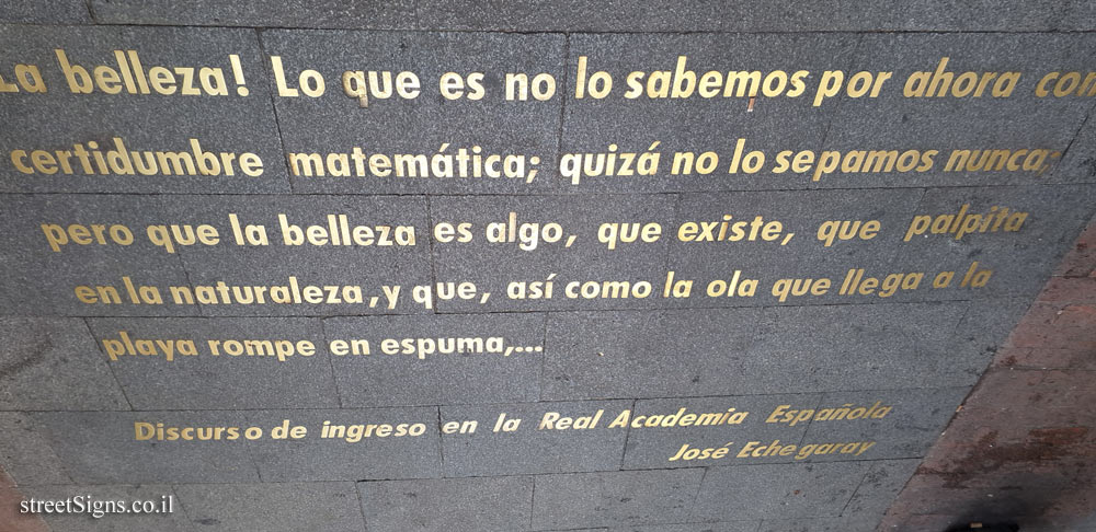 Madrid - Quote from the acceptance speech to the RAE by playwright José Echegaray