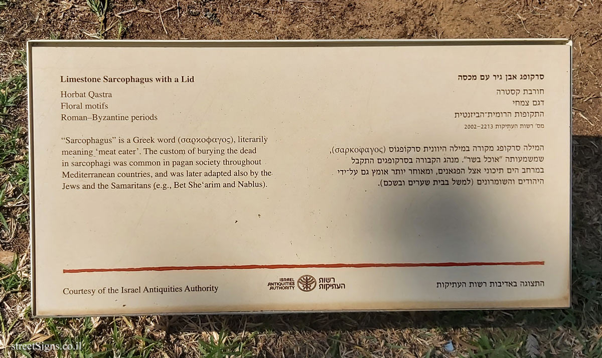 Herzliya - Reichman University - Limestone Sarcophagus with Lid