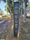 773 Meter Israel