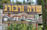 16.88 Km Israel