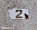 3555.8 Km Israel