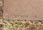 11.3 Km Israel