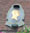 1237.17 Km United Kingdom